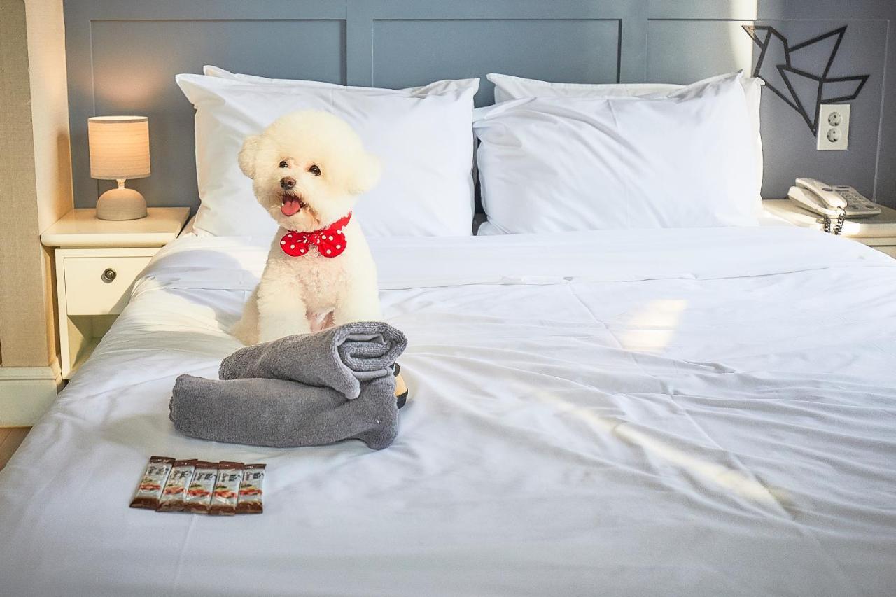 Hotel Poco Seongsu Soul Exteriér fotografie